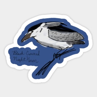 Black Crowned Night Heron Sticker
